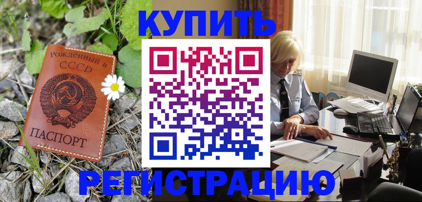 временная регистрация поиск в Заинске